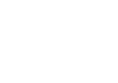 Воздуходувки Robuschi (Италия) Logo