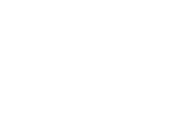Воздуходувки Robuschi (Италия) Logo